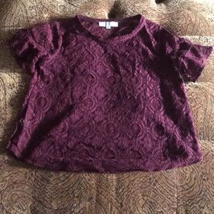 Violet lace top with ruffled sleeves from Loft